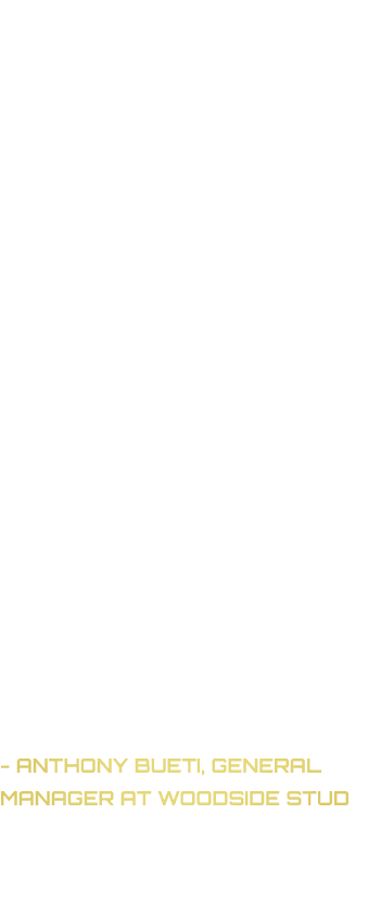 Statistically Dubawi is the most successful sire to ever stand in Great Britain with 271 stakes winners, 179 of Group...