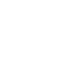  Dubai Millennium Zomaradah Selkirk Bahr