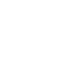 Mr. Prospector Shareef Dancer Shirley Heights Dancing Brave Atan Nebbiolo Caerleon Mill Reef